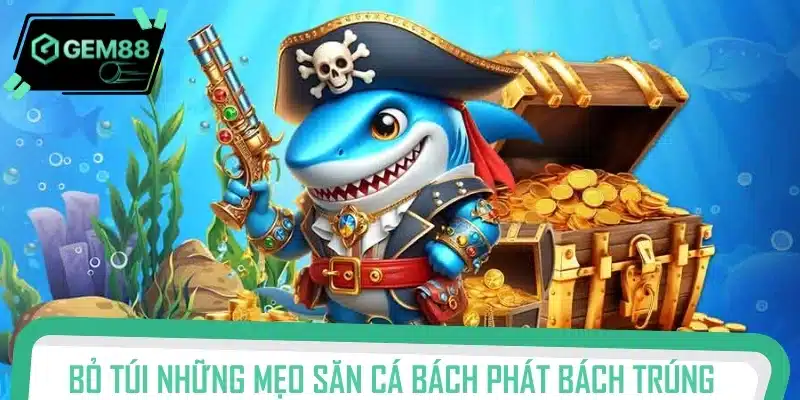 Bỏ túi những mẹo săn cá bách phát bách trúng từ dân chuyên