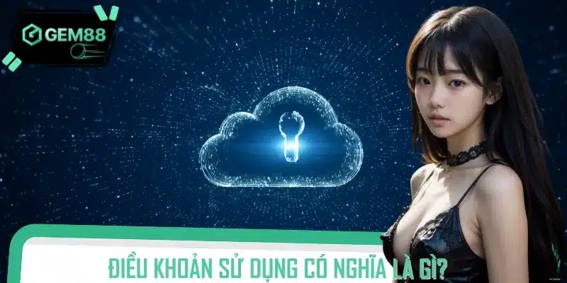 Điều khoản sử dụng là các quy định được thiết lập giữa hai bên