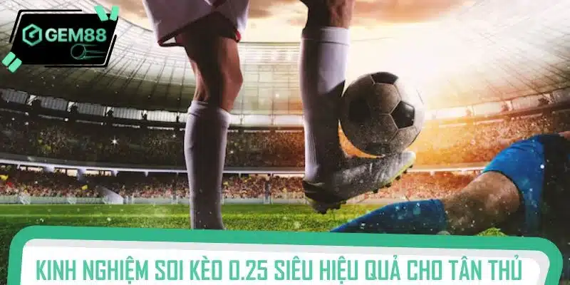 Kinh nghiệm soi kèo 0.25 siêu hiệu quả cho tân thủ