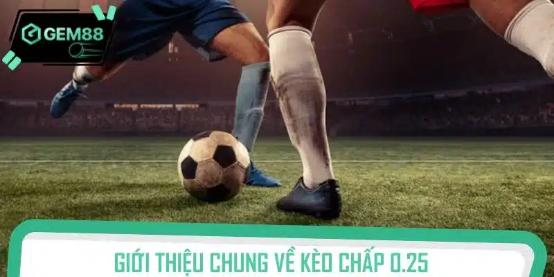 Giới thiệu chung về kèo chấp 0.25